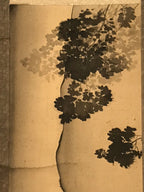 Japanese Hanging Scroll Vtg Looking At The Sky Color Mountain Kakejiku SC821