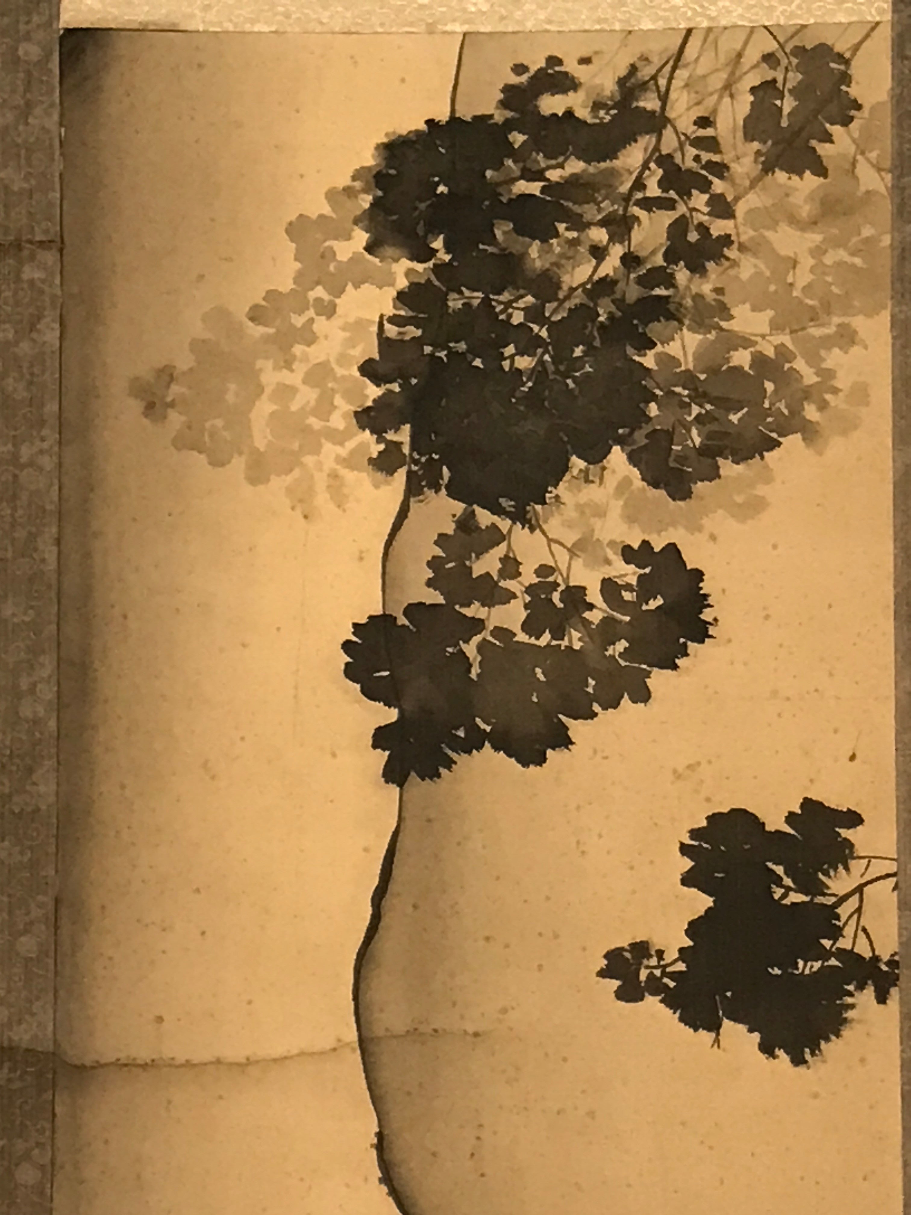 Japanese Hanging Scroll Vtg Looking At The Sky Color Mountain Kakejiku SC821