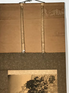 Japanese Hanging Scroll Vtg Looking At The Sky Color Mountain Kakejiku SC821