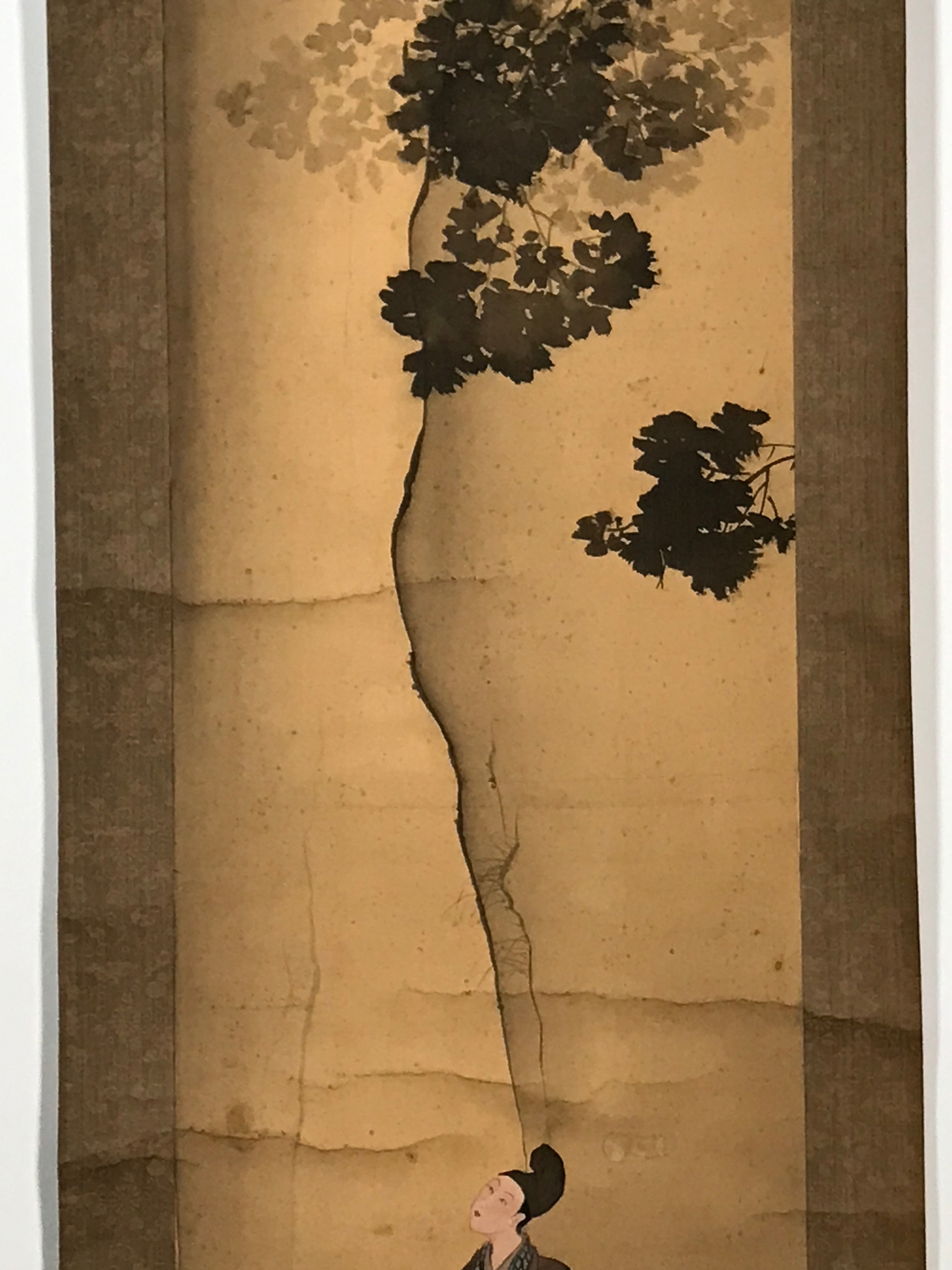 Japanese Hanging Scroll Vtg Looking At The Sky Color Mountain Kakejiku SC821