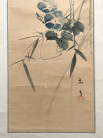 Japanese Hanging Scroll Vtg Morning Glory Flower Blue Kakejiku Chagake SC909