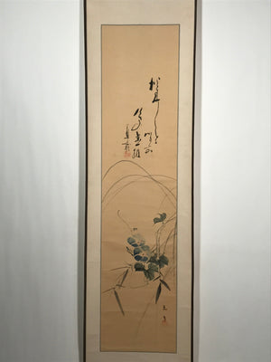 Japanese Hanging Scroll Vtg Morning Glory Flower Blue Kakejiku Chagake SC909