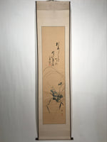 Japanese Hanging Scroll Vtg Morning Glory Flower Blue Kakejiku Chagake SC909