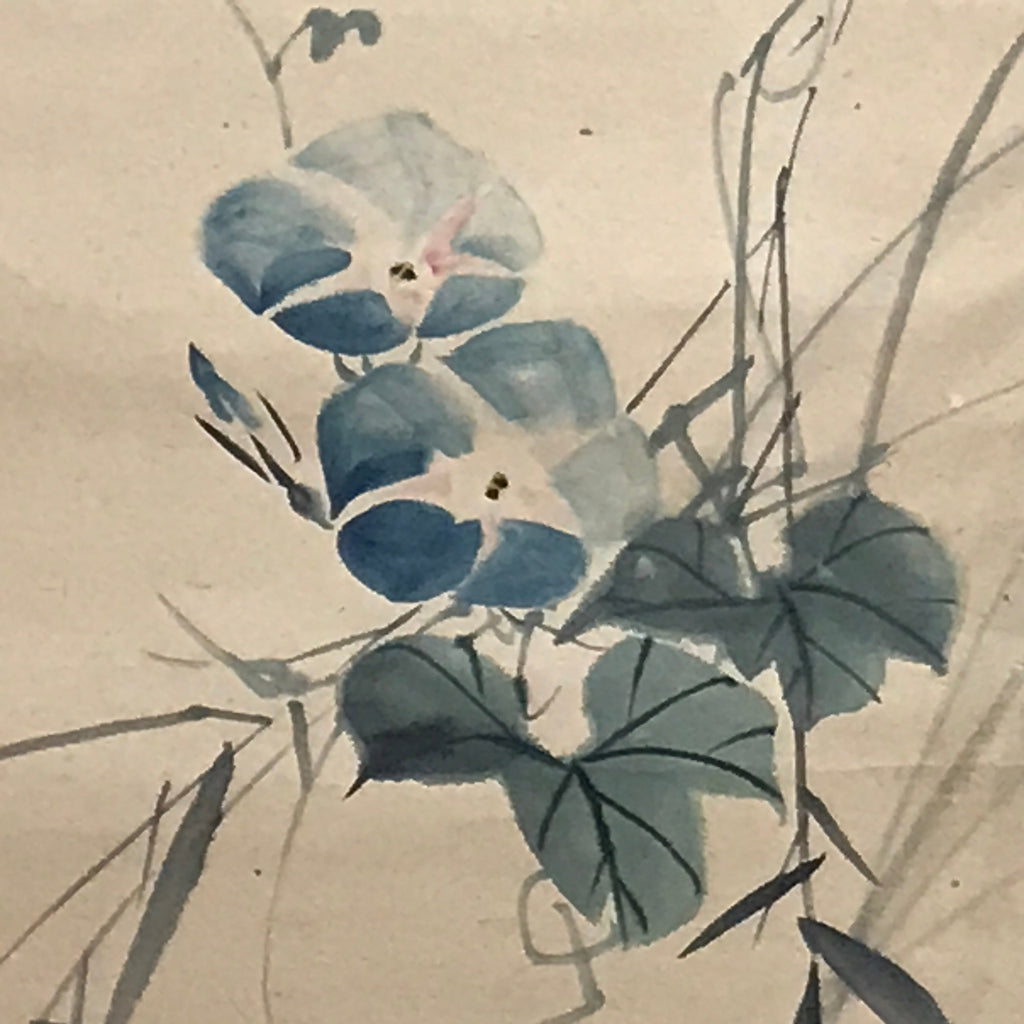 Japanese Hanging Scroll Vtg Morning Glory Flower Blue Kakejiku Chagake SC909