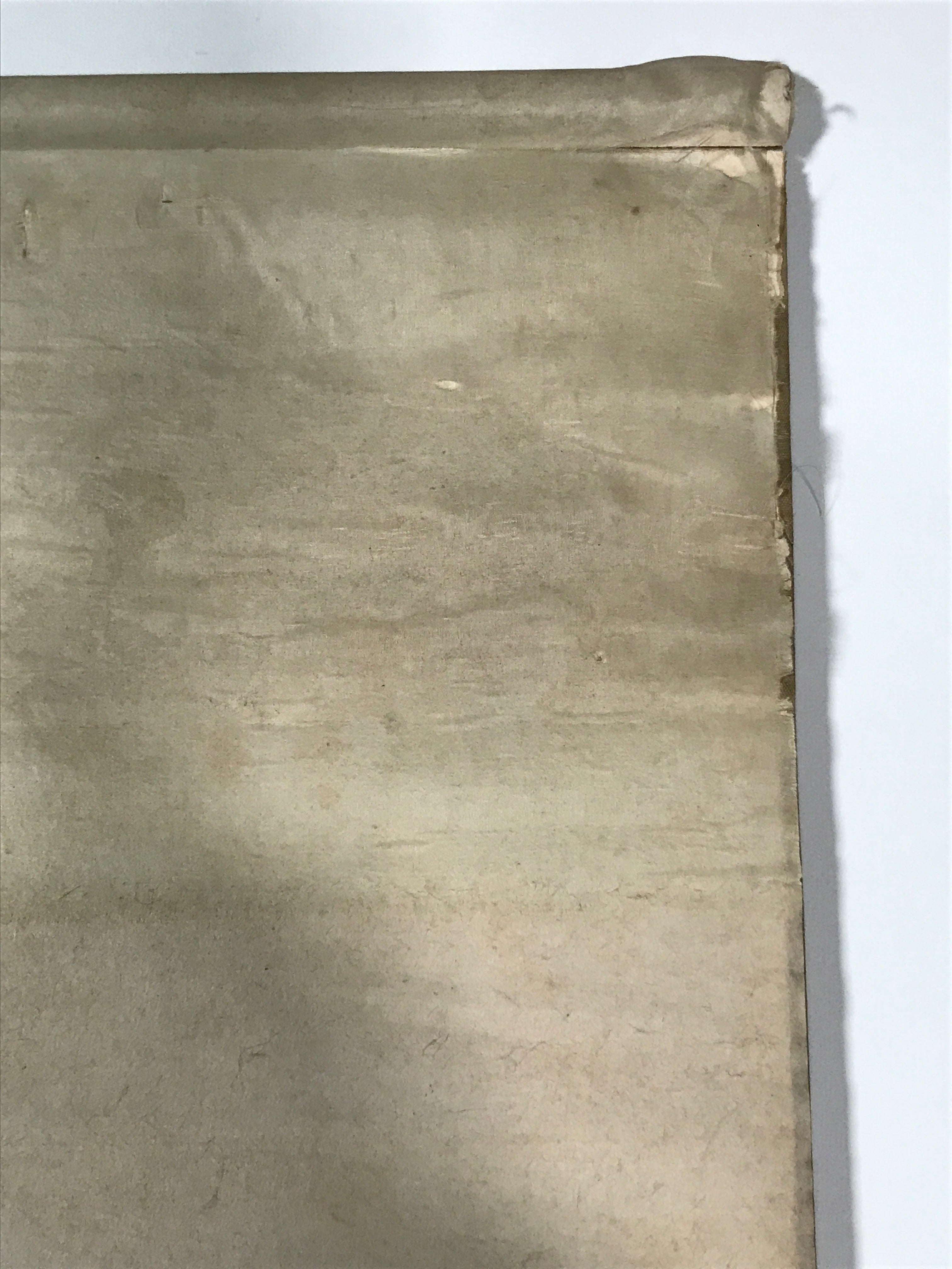 Japanese Hanging Scroll Vtg Peony Flower Color Kakejiku Chagake SC848