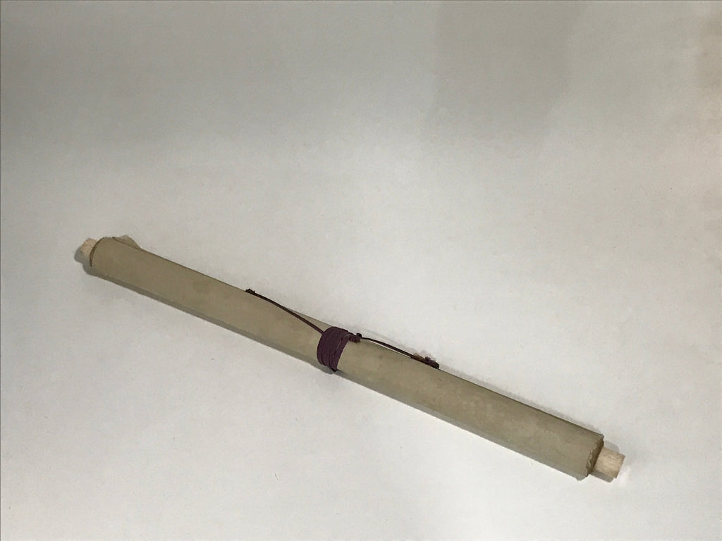 Japanese Hanging Scroll Vtg Peony Flower Color Kakejiku Chagake SC848