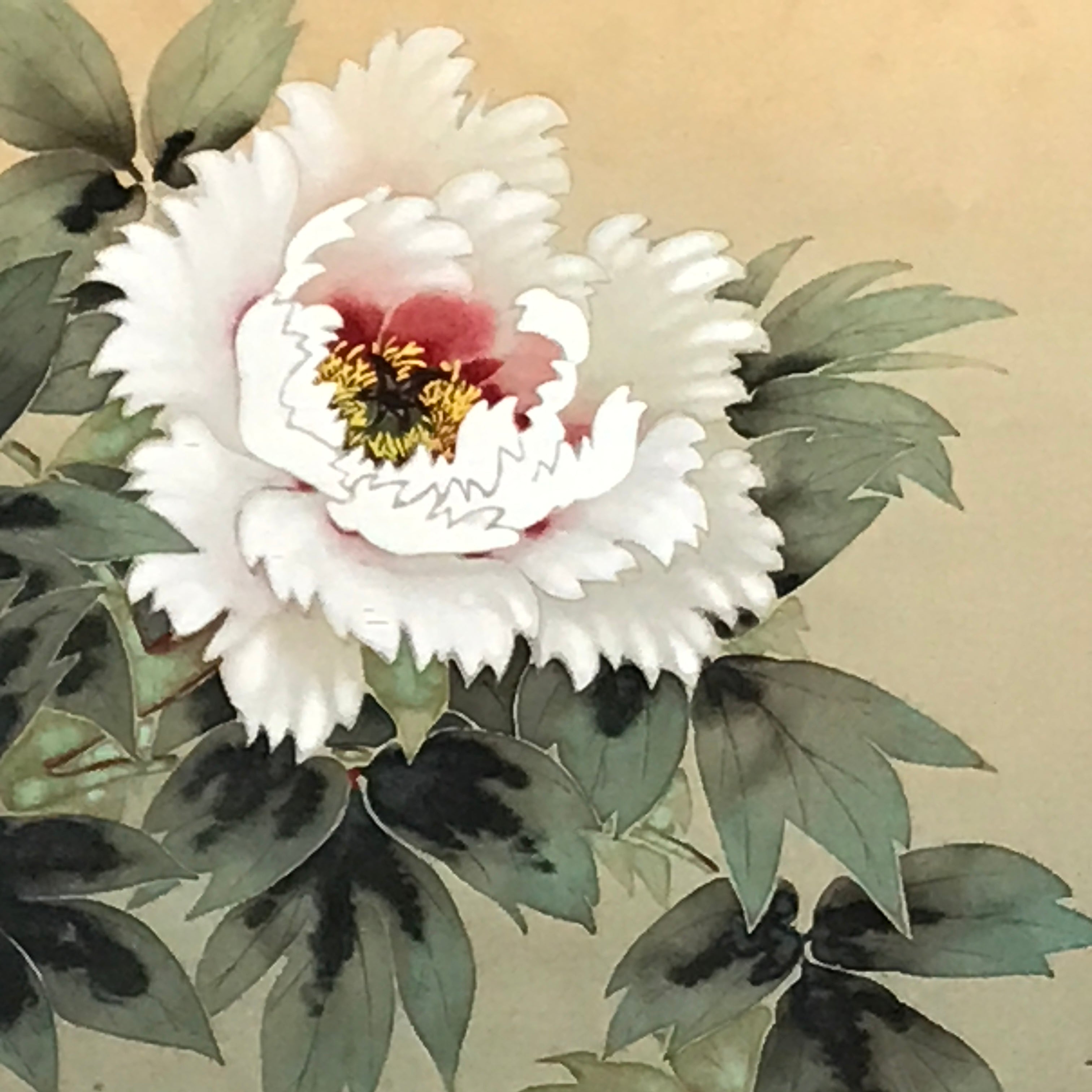 Japanese Hanging Scroll Vtg Peony Flower Color Kakejiku Chagake SC848