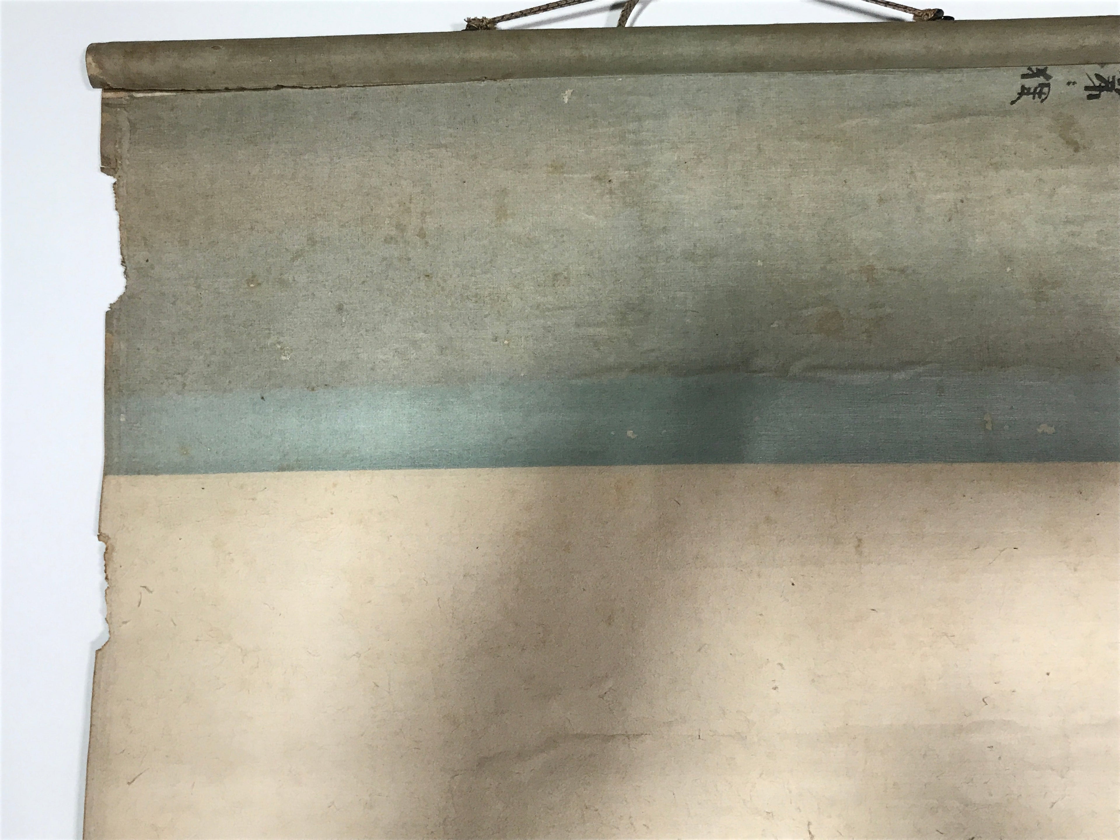 Japanese Hanging Scroll Vtg Raccoon Dog Herbs Black Kakejiku Chagake SC923