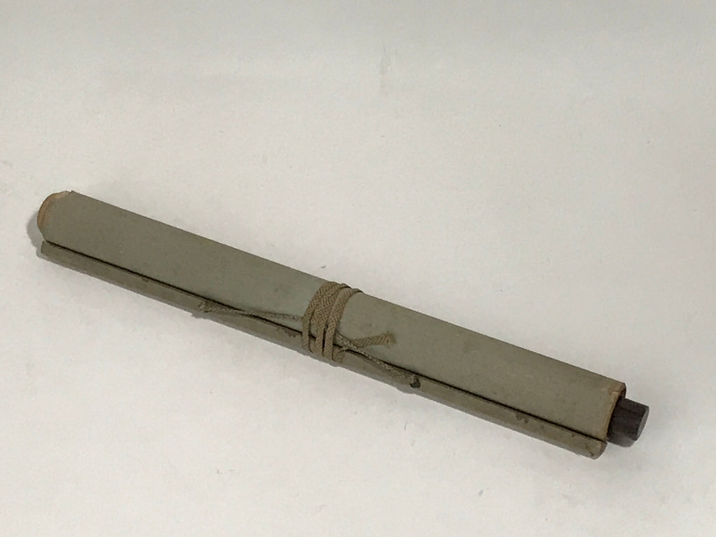 Japanese Hanging Scroll Vtg Raccoon Dog Herbs Black Kakejiku Chagake SC923