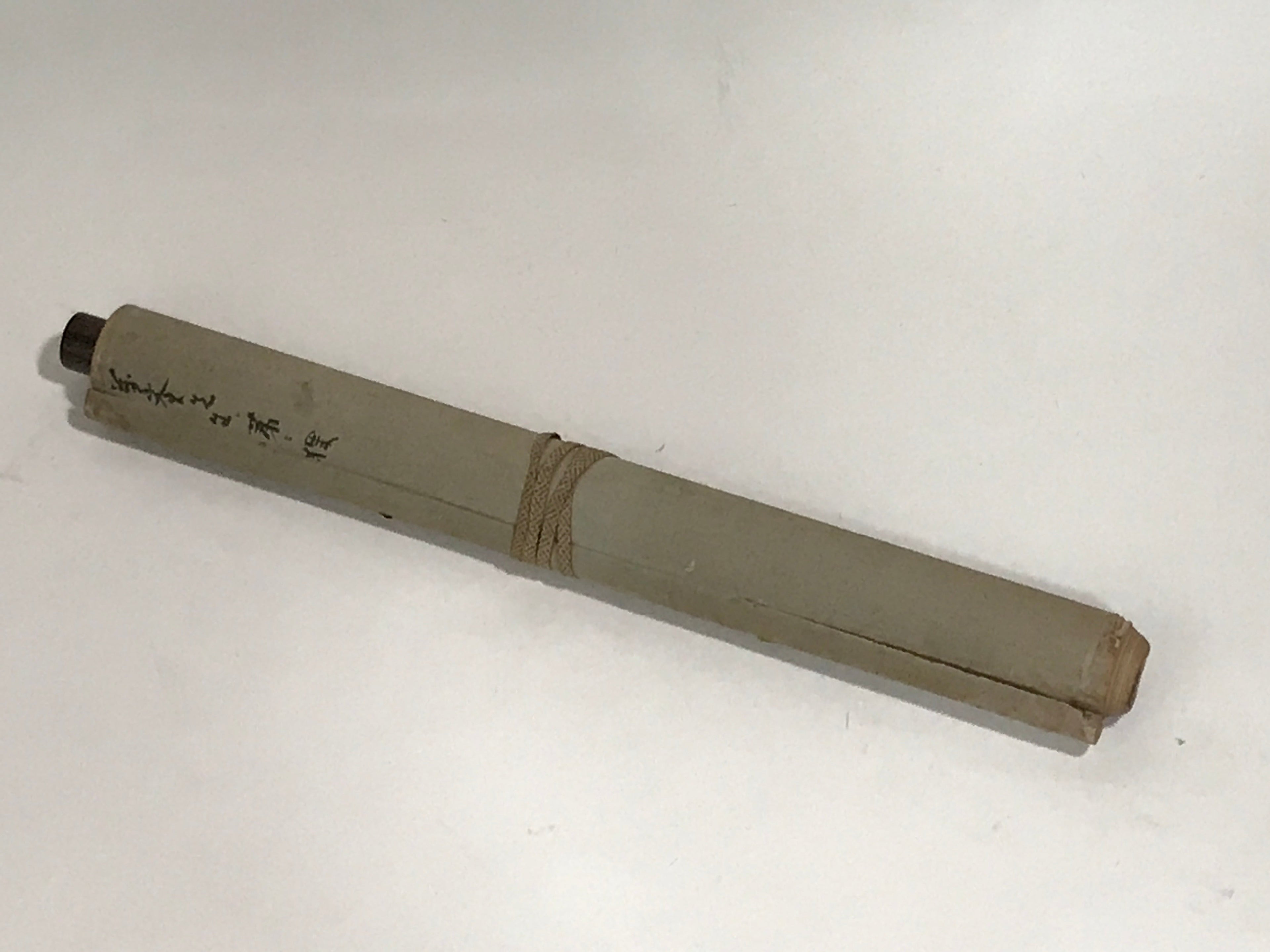 Japanese Hanging Scroll Vtg Raccoon Dog Herbs Black Kakejiku Chagake SC923