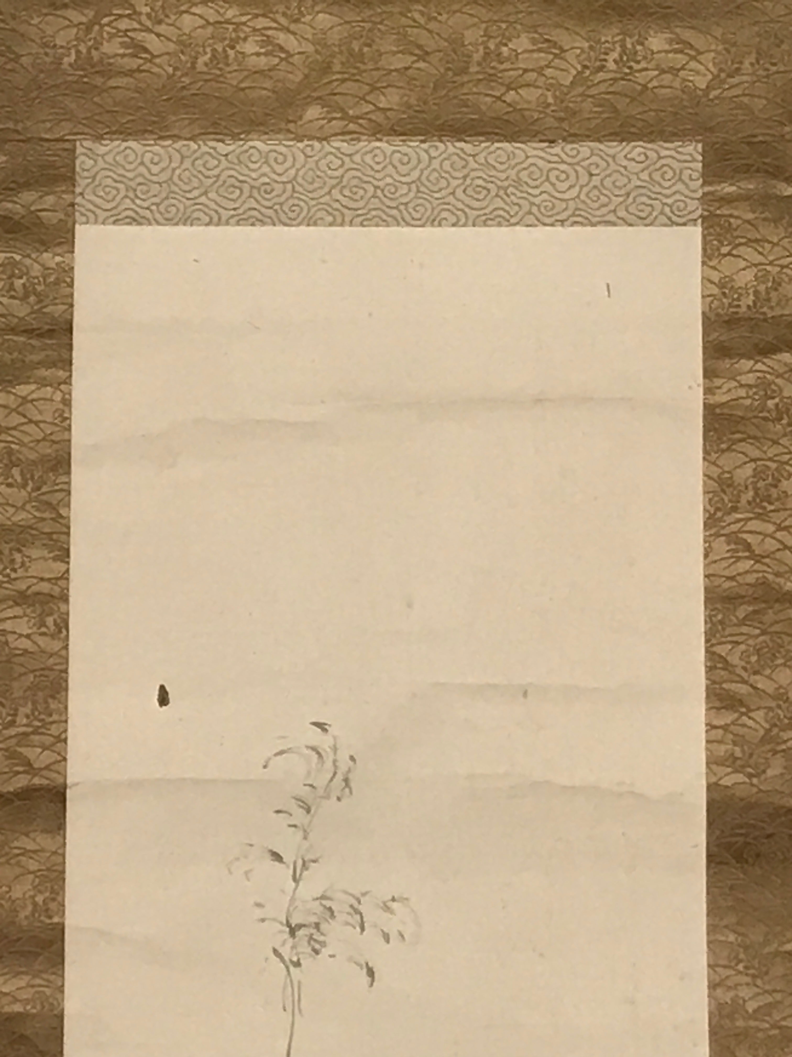 Japanese Hanging Scroll Vtg Raccoon Dog Herbs Black Kakejiku Chagake SC923
