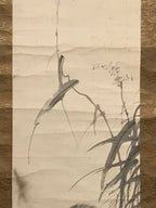 Japanese Hanging Scroll Vtg Raccoon Dog Herbs Black Kakejiku Chagake SC923