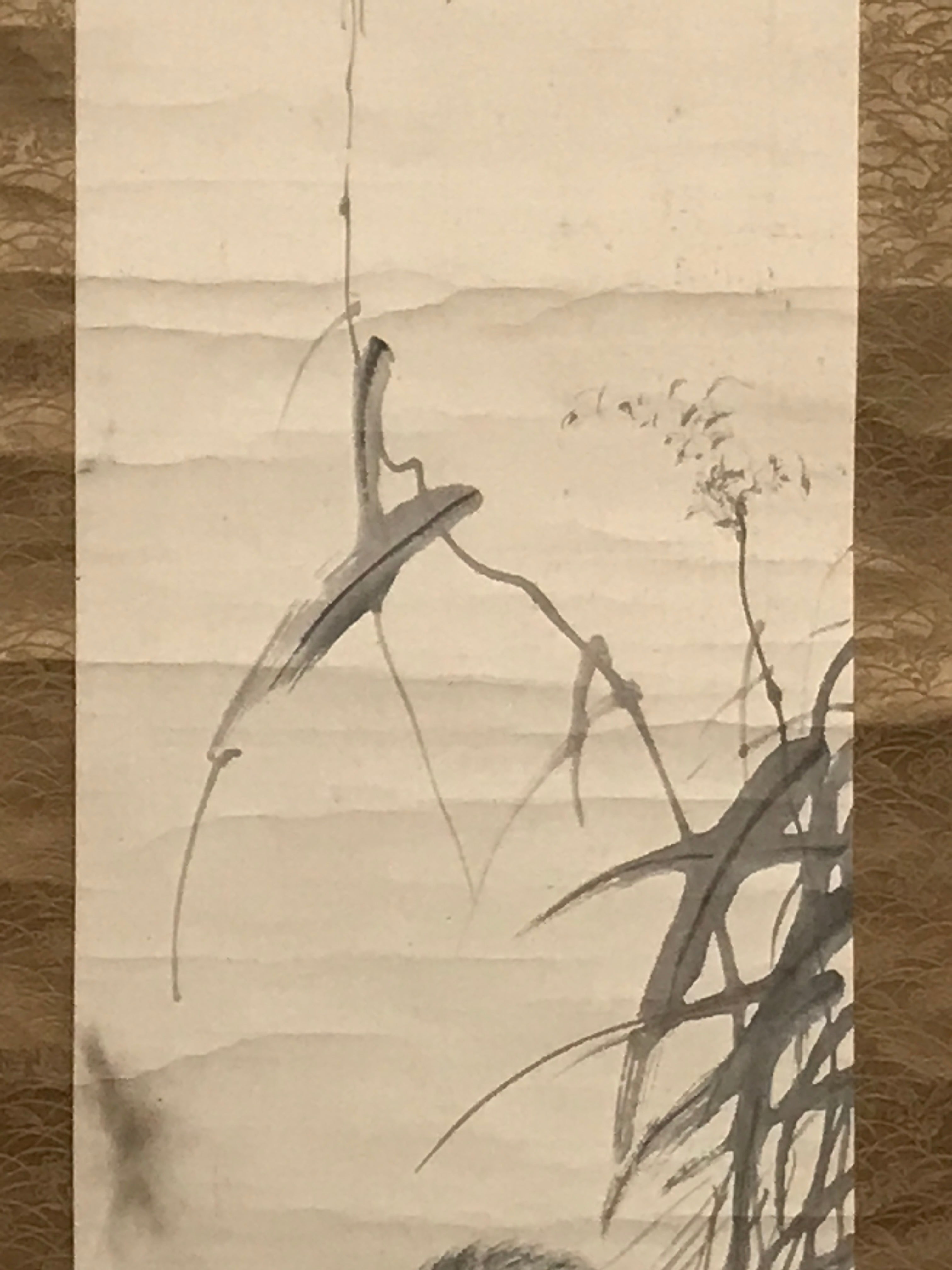 Japanese Hanging Scroll Vtg Raccoon Dog Herbs Black Kakejiku Chagake SC923