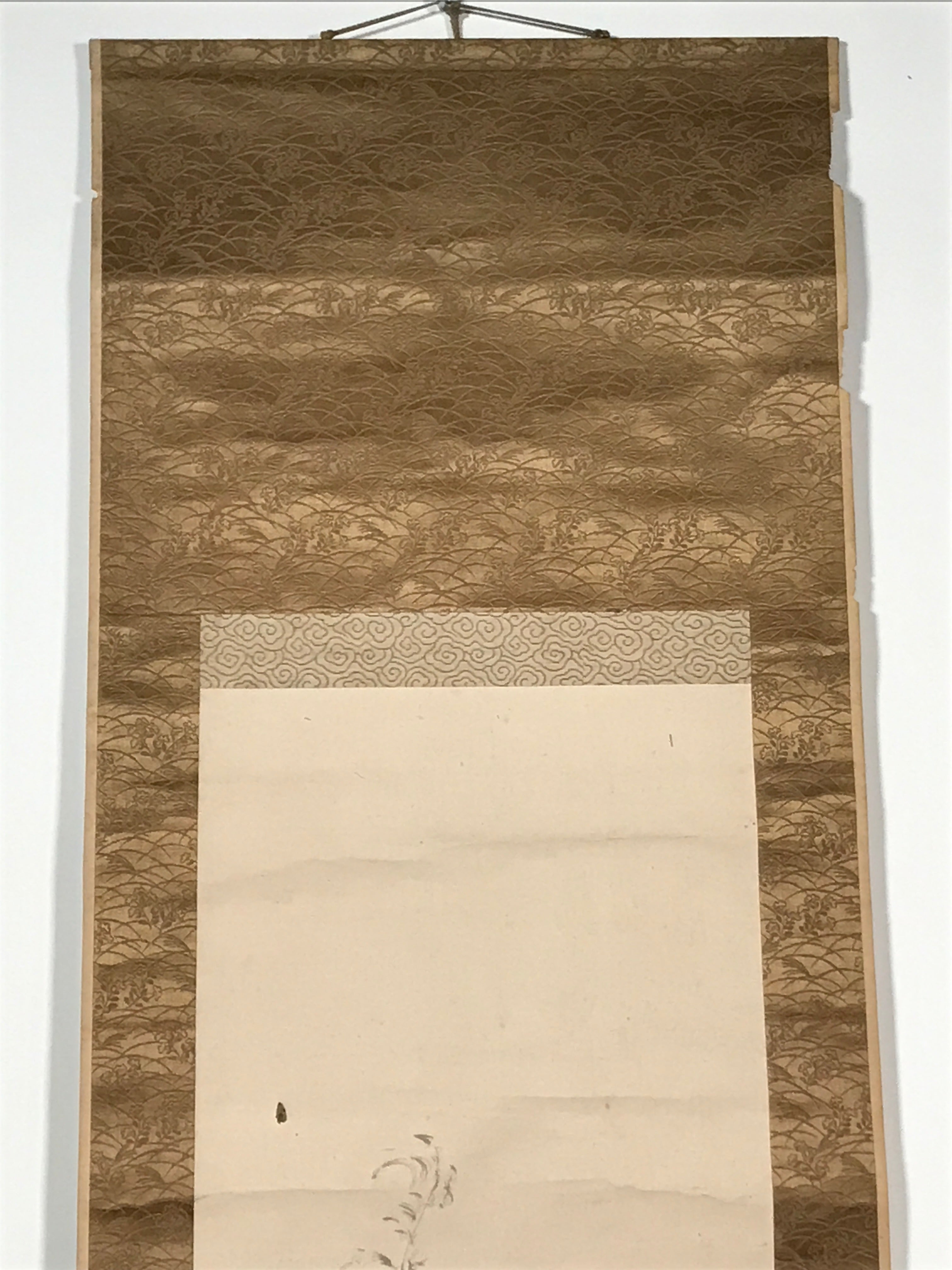 Japanese Hanging Scroll Vtg Raccoon Dog Herbs Black Kakejiku Chagake SC923