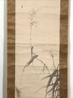 Japanese Hanging Scroll Vtg Raccoon Dog Herbs Black Kakejiku Chagake SC923