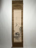 Japanese Hanging Scroll Vtg Raccoon Dog Herbs Black Kakejiku Chagake SC923