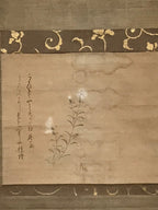 Japanese Hanging Scroll Vtg White Flower Poem Kakejiku Chagake SC940