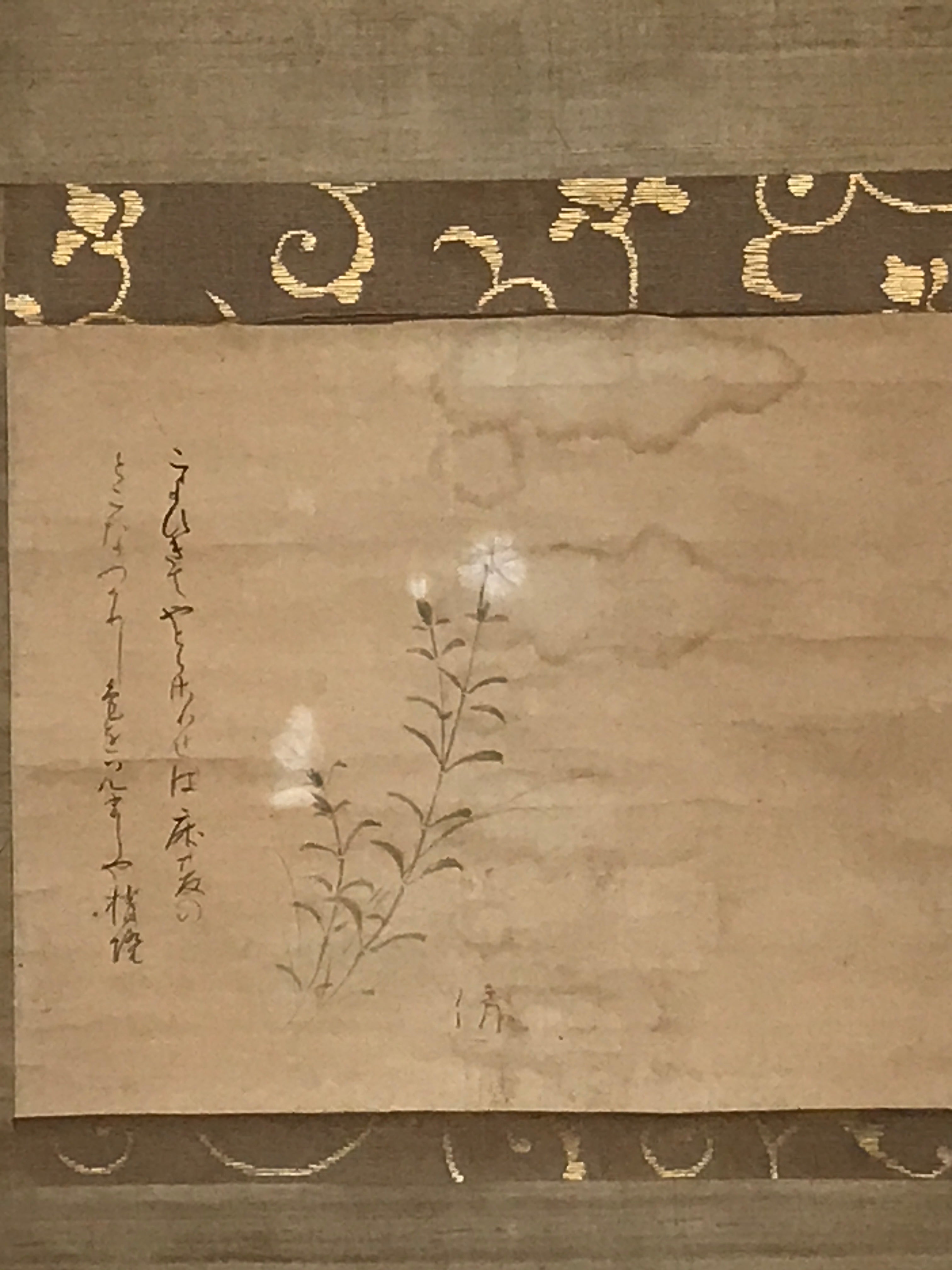 Japanese Hanging Scroll Vtg White Flower Poem Kakejiku Chagake SC940