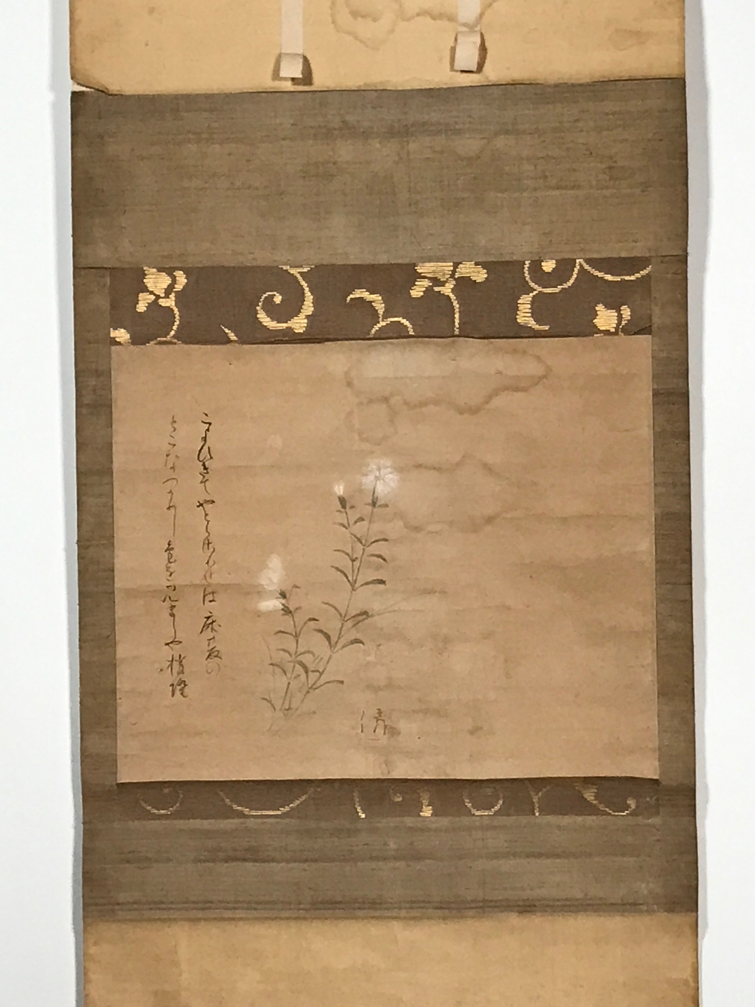Japanese Hanging Scroll Vtg White Flower Poem Kakejiku Chagake SC940