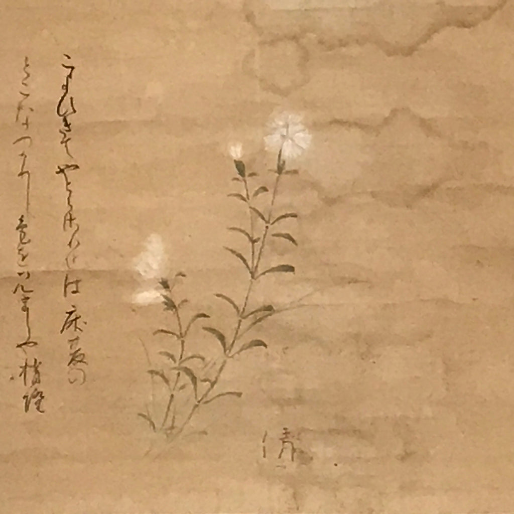 Japanese Hanging Scroll Vtg White Flower Poem Kakejiku Chagake SC940