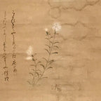 Japanese Hanging Scroll Vtg White Flower Poem Kakejiku Chagake SC940
