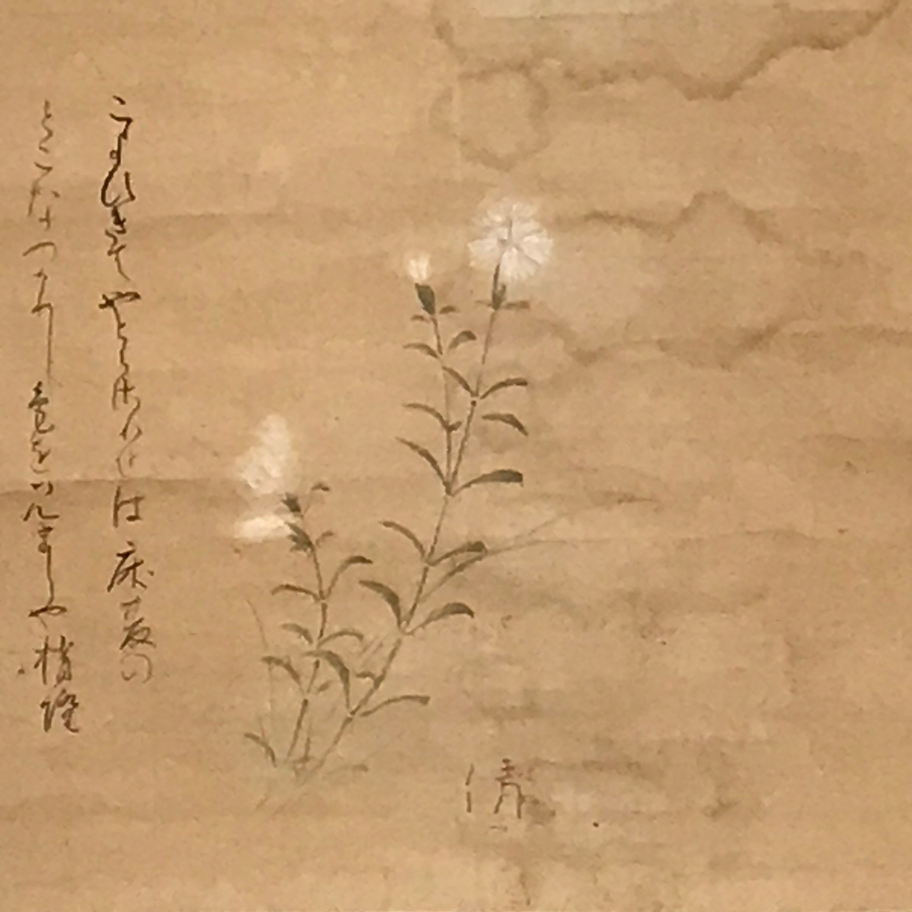 Japanese Hanging Scroll Vtg White Flower Poem Kakejiku Chagake SC940