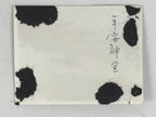 Japanese Heian Jingu Shrine Photograph Vtg Kyoto Temple Square Sepia Tone PH276