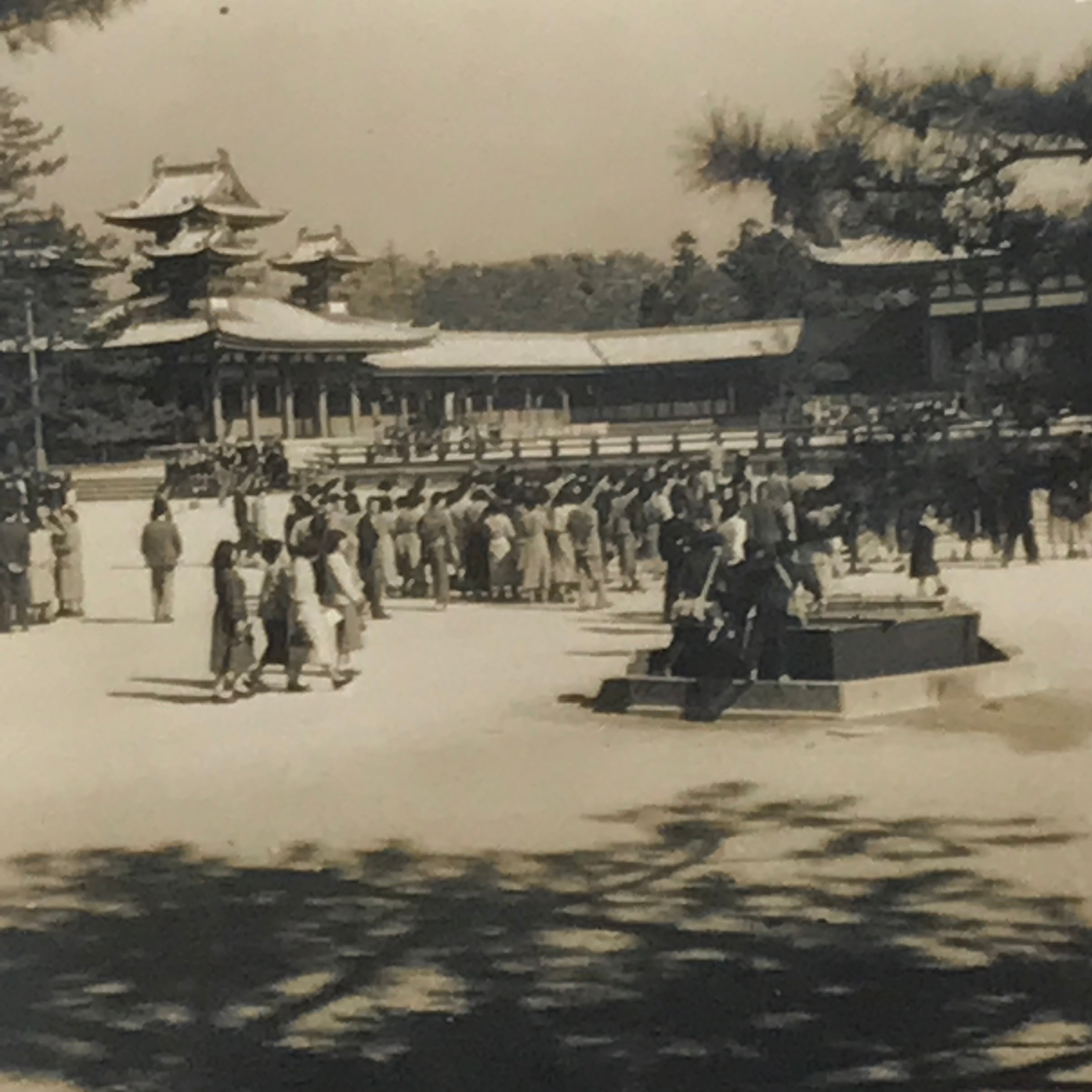 Japanese Photos & Negatives | chidorivintage.com