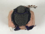 Japanese Hina Doll Ningyo Guard Vtg Girls Day Ohinasama Silk Kimekomi ID634