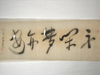 Japanese Horizontal Picture Hanging Scroll Vtg Yume Calligraphy Kakejiku SC990
