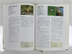 Japanese Illustrated Book Vtg 333 Birds Passeriformes Encyclopedia HN19