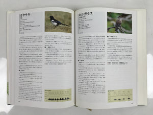 Japanese Illustrated Book Vtg 333 Birds Passeriformes Encyclopedia HN19