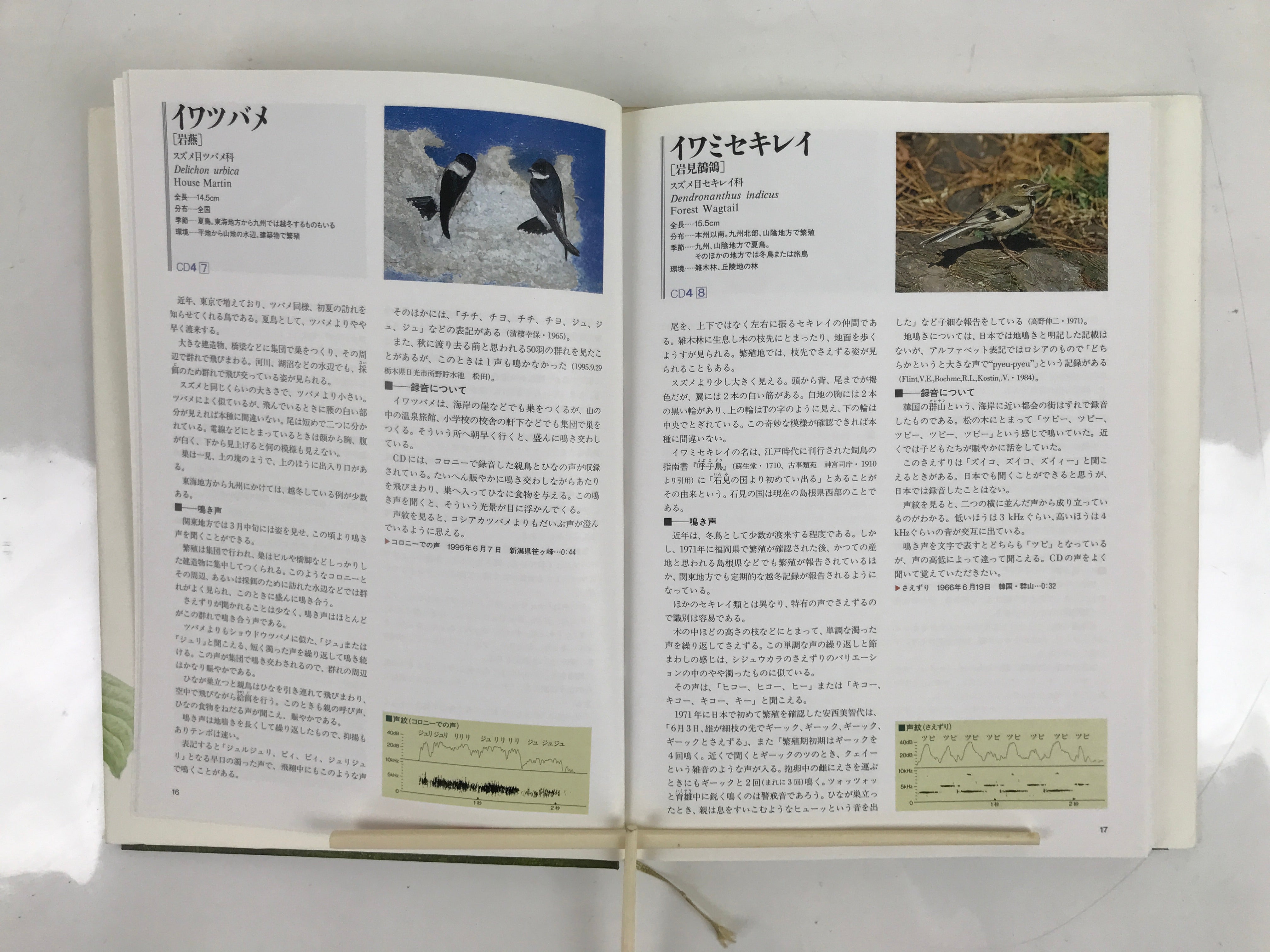 Japanese Illustrated Book Vtg 333 Birds Passeriformes Encyclopedia HN19