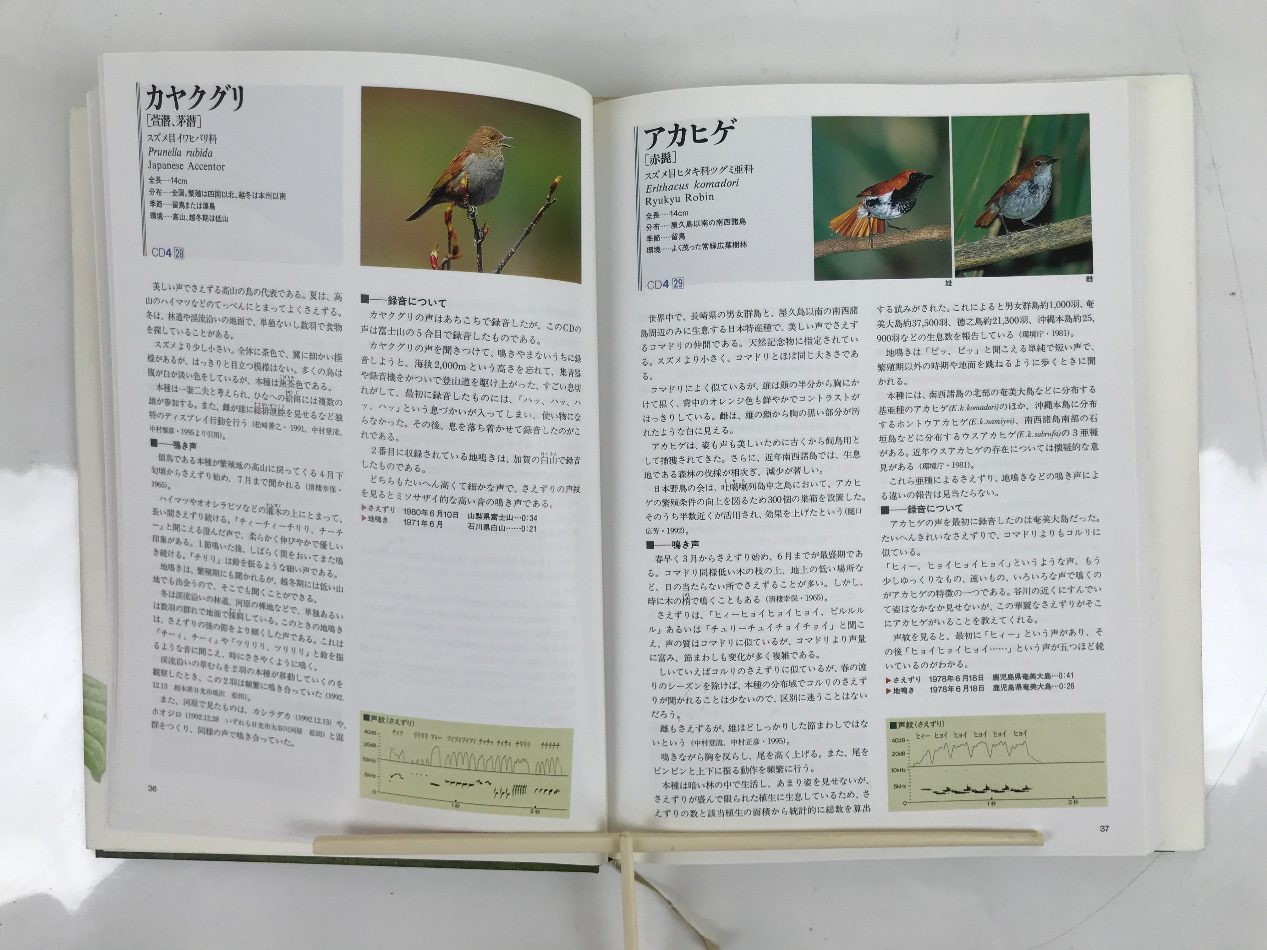 Japanese Illustrated Book Vtg 333 Birds Passeriformes Encyclopedia HN19