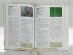 Japanese Illustrated Book Vtg 333 Birds Passeriformes Encyclopedia HN19