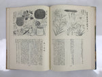 Japanese Illustrated Food Crafting Book 2 Mukimono Decorative Carving HN18