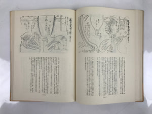 Japanese Illustrated Food Crafting Book Vtg Mukimono Decorative Carving HN17