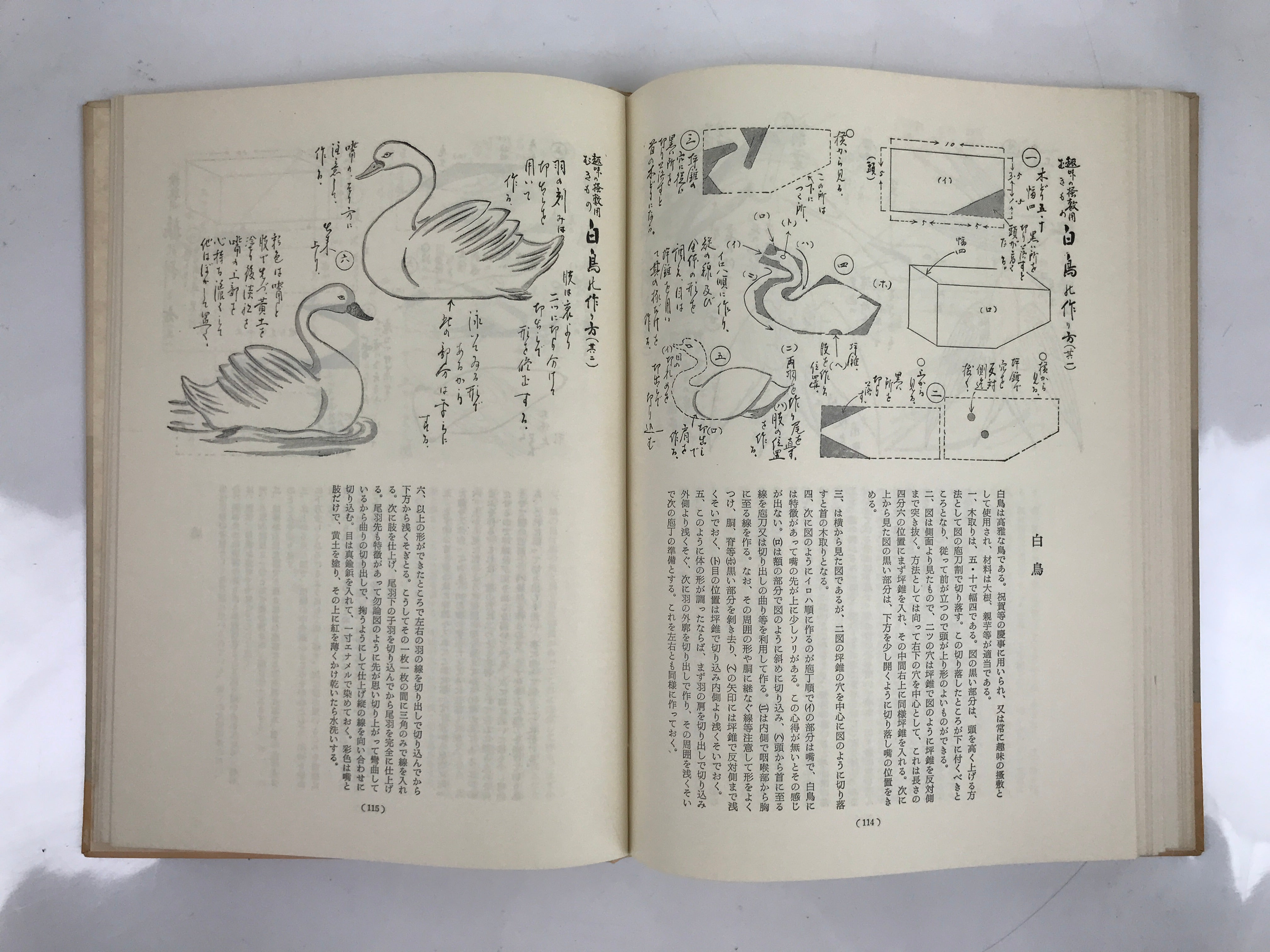 Japanese Illustrated Food Crafting Book Vtg Mukimono Decorative Carving HN17