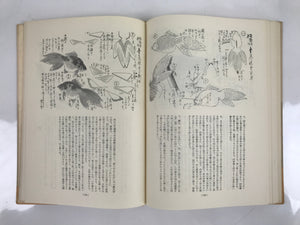 Japanese Illustrated Food Crafting Book Vtg Mukimono Decorative Carving HN17