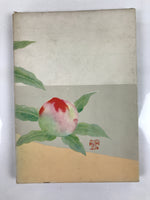 Japanese Illustrated Food Crafting Book Vtg Mukimono Decorative Carving HN17