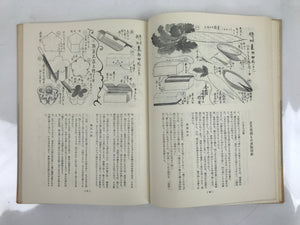 Japanese Illustrated Food Crafting Book Vtg Mukimono Decorative Carving HN17