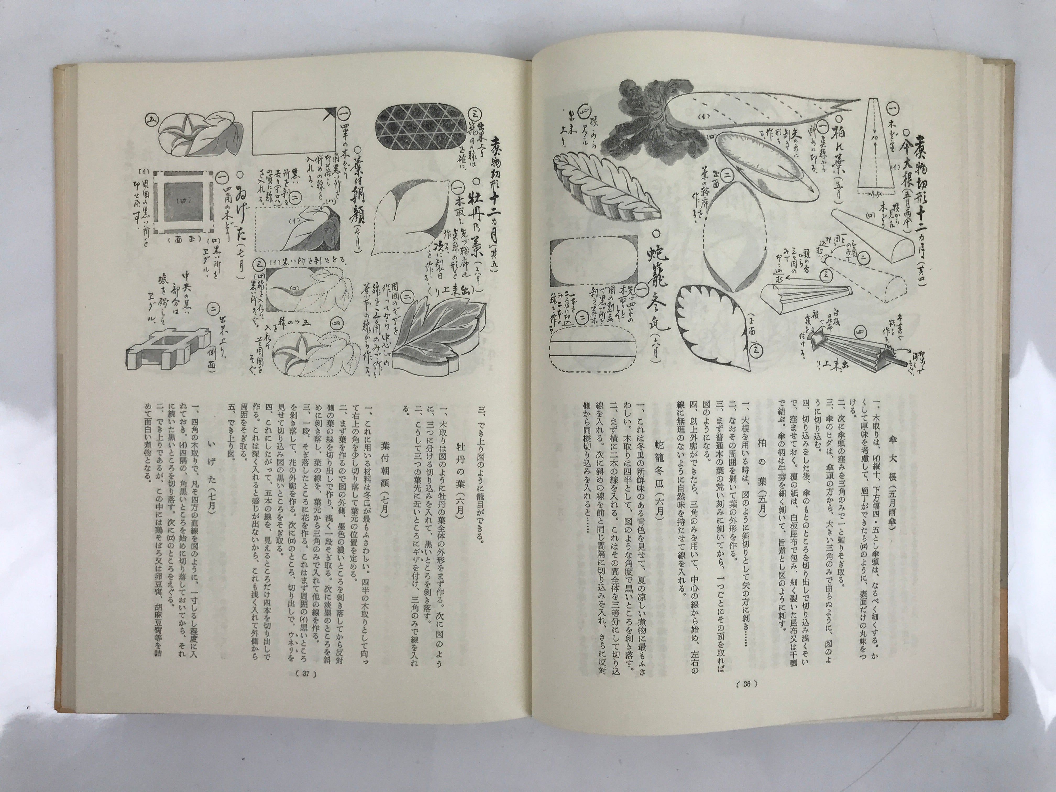 Japanese Illustrated Food Crafting Book Vtg Mukimono Decorative Carving HN17