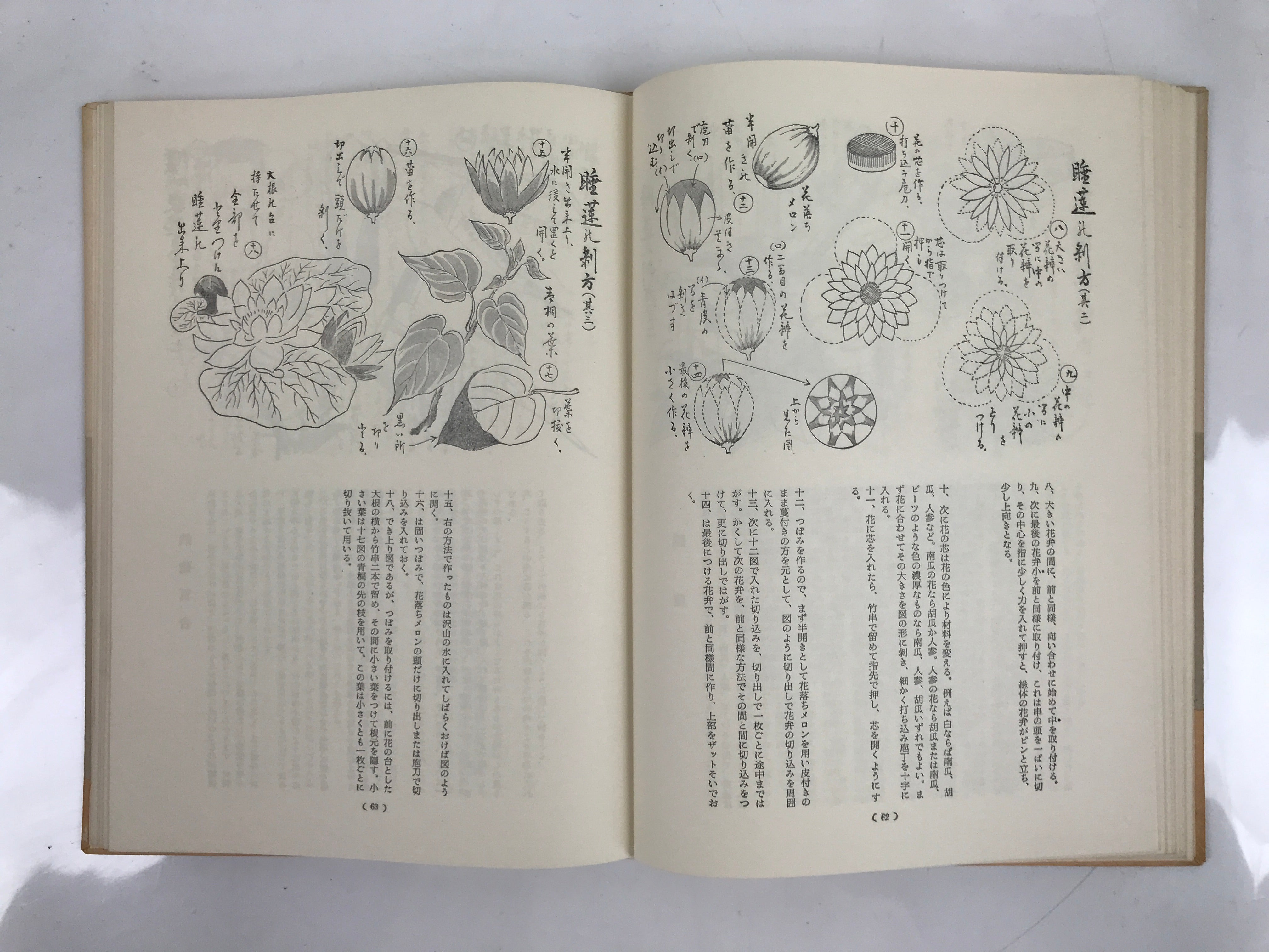 Japanese Illustrated Food Crafting Book Vtg Mukimono Decorative Carving HN17