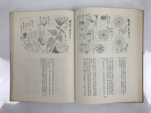 Japanese Illustrated Food Crafting Book Vtg Mukimono Decorative Carving HN17