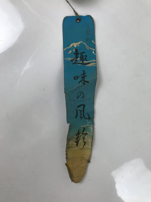 Japanese Iron Furin Wind Chime Tetsurin Vtg Green String Iwate Nanbu Owl DR566