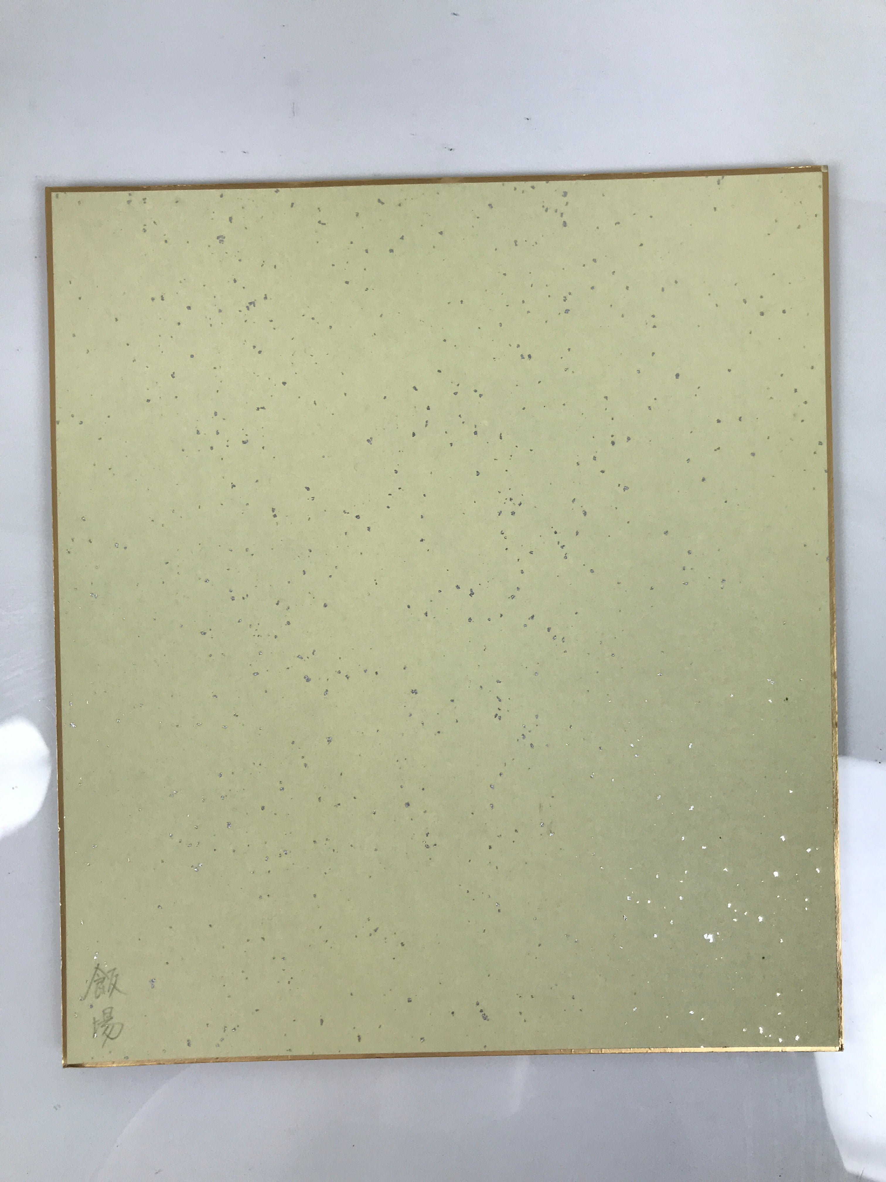 Japanese Ise Katagami Shikishi Art Board Vtg Decorative Iris Flower Ayame A798