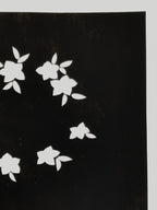 Japanese Katagami Paper Kimono Stencil Vtg Balloon Flower Bellflower Kikyo A820