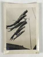 Japanese Koinobori Carp Streamers Photograph Children's Day Black White PH206