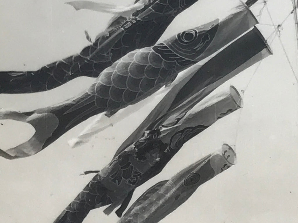 Japanese Koinobori Carp Streamers Photograph Children's Day Black White PH206