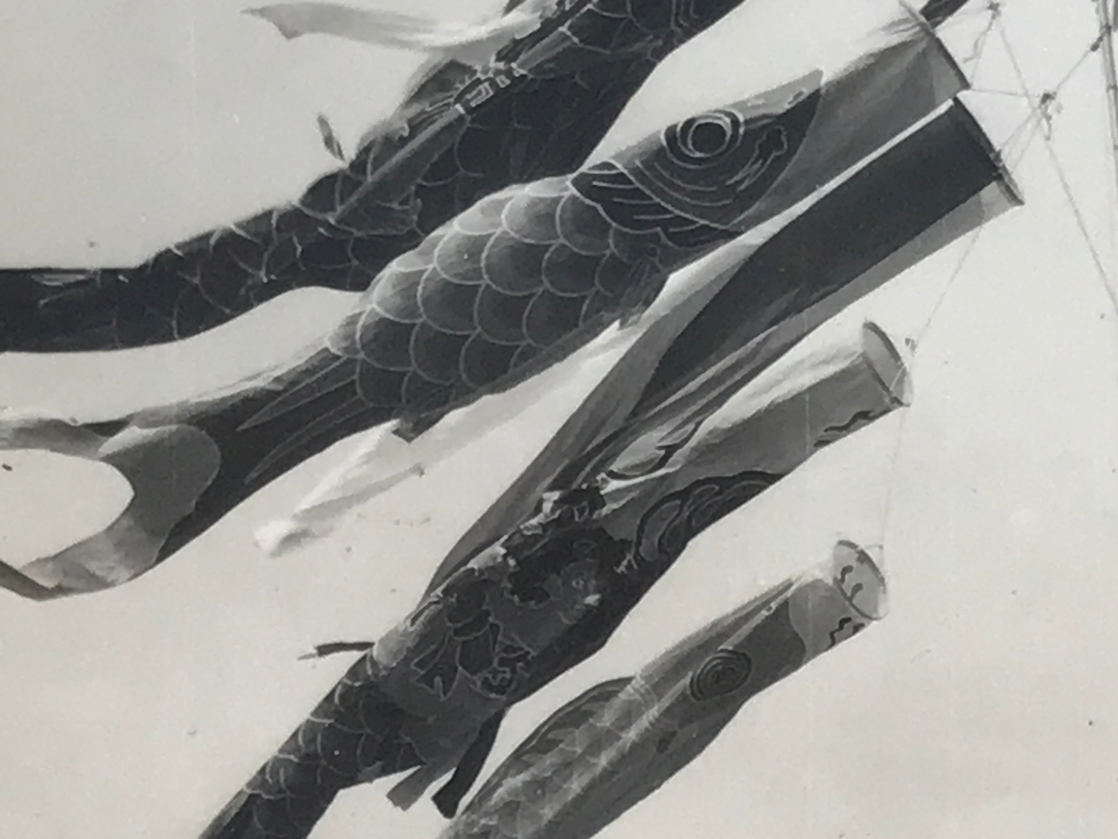 Japanese Koinobori Carp Streamers Photograph Children's Day Black White PH206